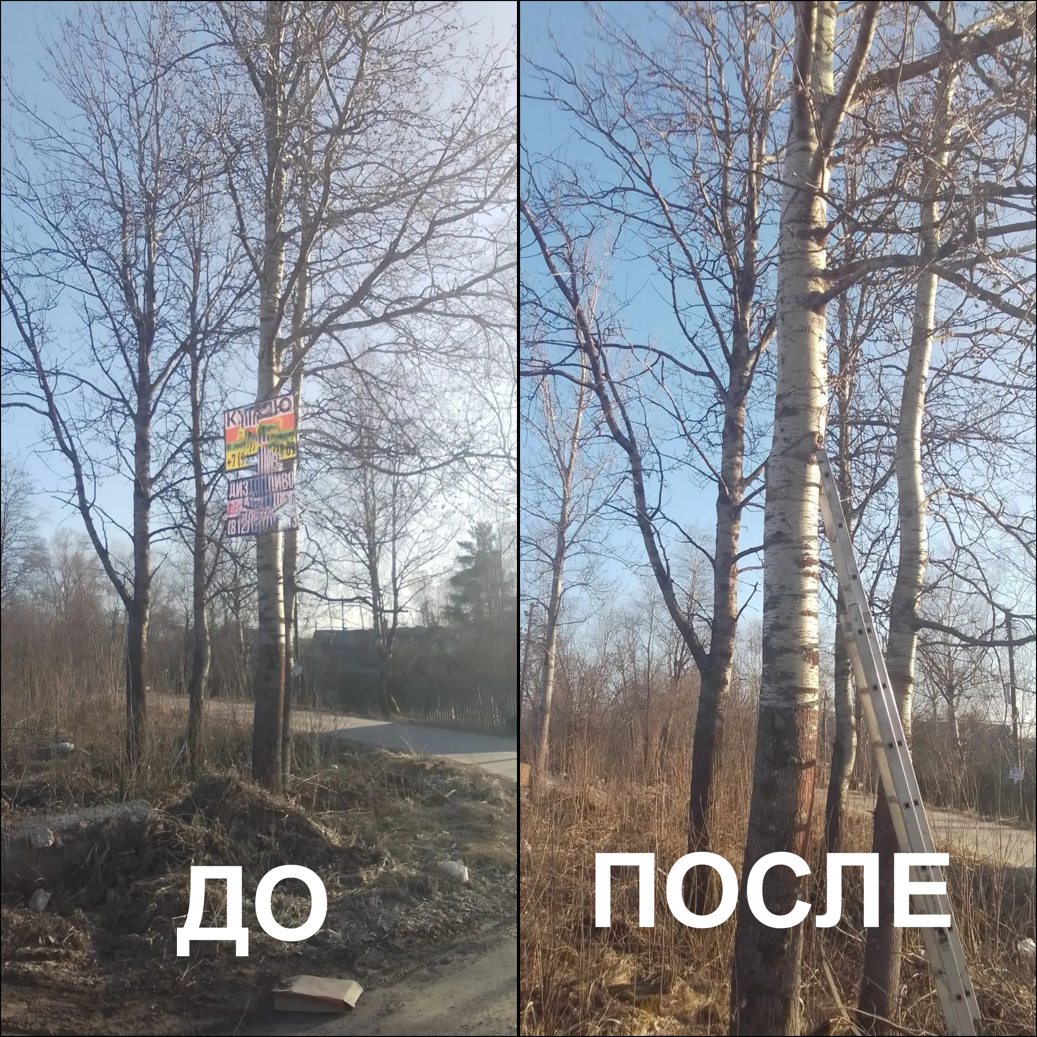 Муниципальный контроль в Назии.